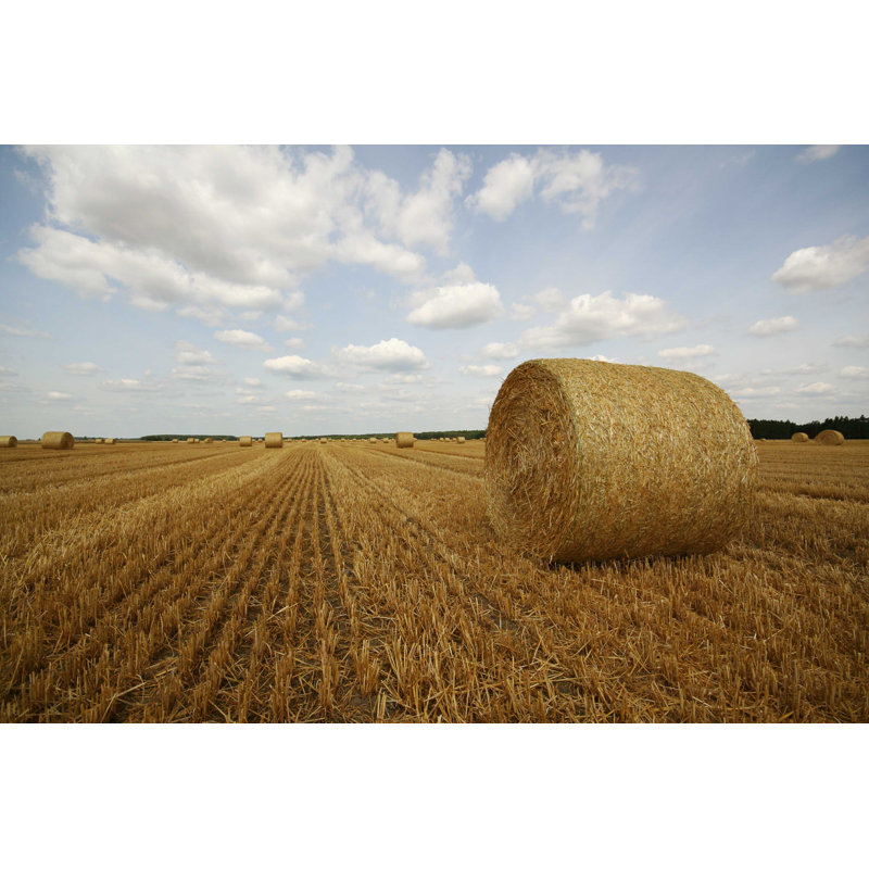 Haystack by Bercello - Wrapped Canvas Photograph, 12'' W x 8'' H