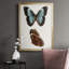 «Antique Blue Butterflies IV», reproduction encadrée de qualité supérieure - prête à être accrochée-1287428876-1287428879