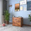 Armoire d'appoint Artimus-1494650388