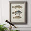 «Species of Antique Fish III», reproduction d'art sur toile-508065403