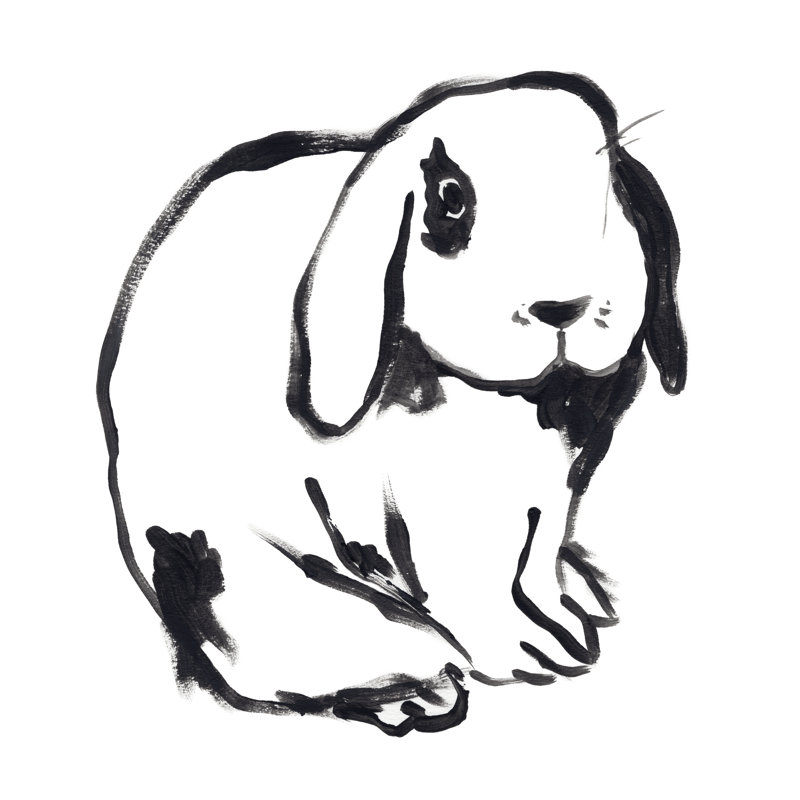 Winter Rabbit III by June Erica Vess - Wrapped Canvas Painting, 76cm H x 76cm W x 3.8cm D