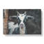 Goat Vol.2 - Wrapped Canvas-61852251