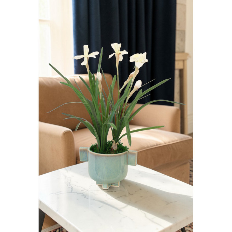 White Daffodils in Turquoise Planter