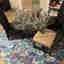 Photos des clients 1 de 1