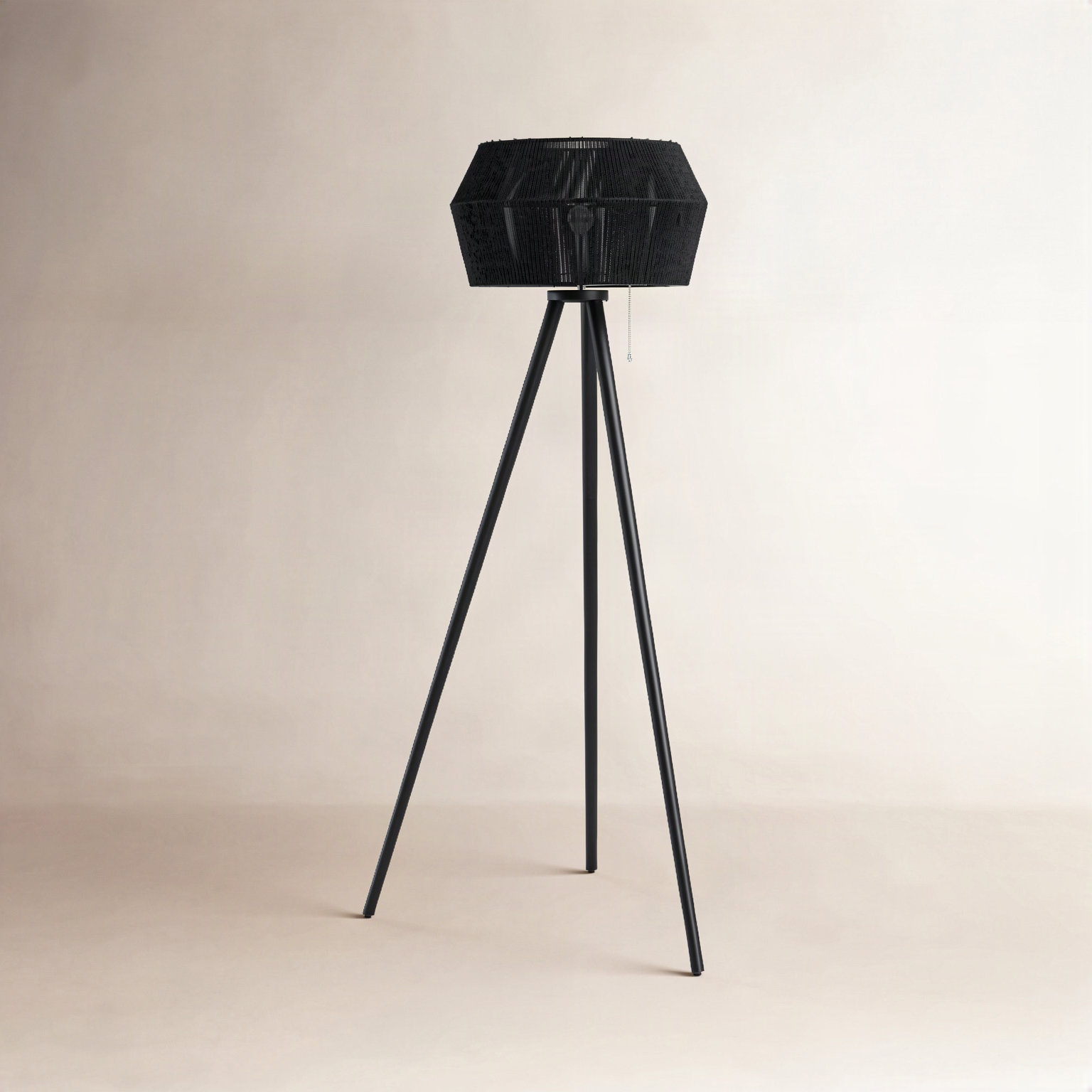 Isona 61'' Steel Floor Lamp, Black