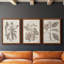 Ensemble de 3 cadres photo sur toile Midnight Tulip V-981462680-981462679