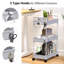 Lidia 66.5cm H x 40.1cm W Utility Cart with Wheels-1699981297