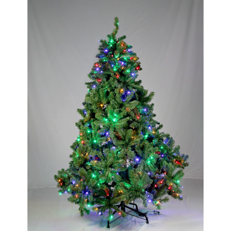 Arbre de Noël pin 6 pi Lite