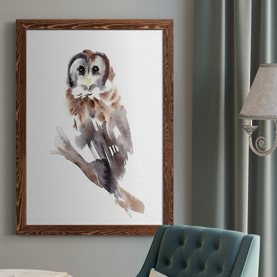 " Barred Owl Impressions II "