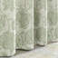 Paire de canettes-859967030-859967028
