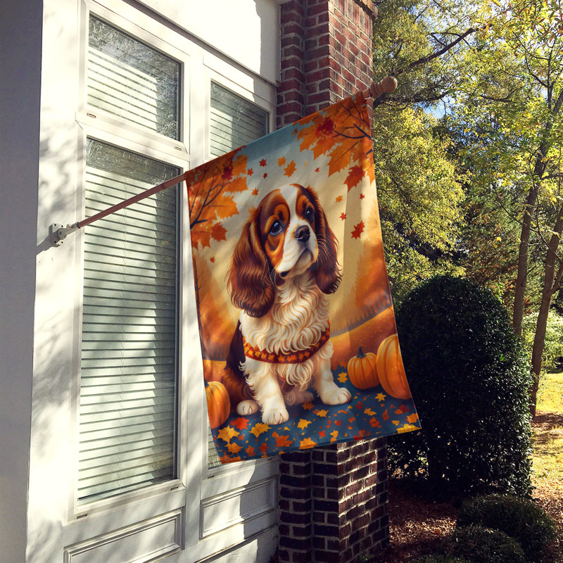 Double Sided 40'' H x 28'' W Polyester House Flag