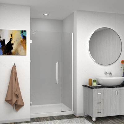 Transolid Elizabeth 43-in W x 76-in H Hinged Shower Door with Clear Glass