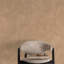 Textured Vibes Collection Authentic Plaster Wallpaper Roll-2131774366
