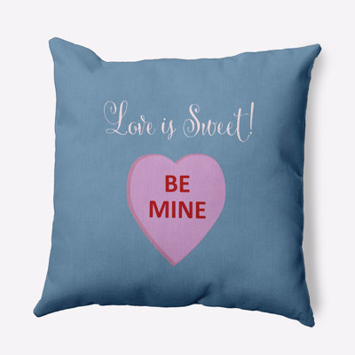 Polyester Indoor/Outdoor Throw Pillow