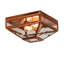 2 - Light Flush Mount