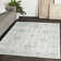 Braselton Oriental Indoor Rug