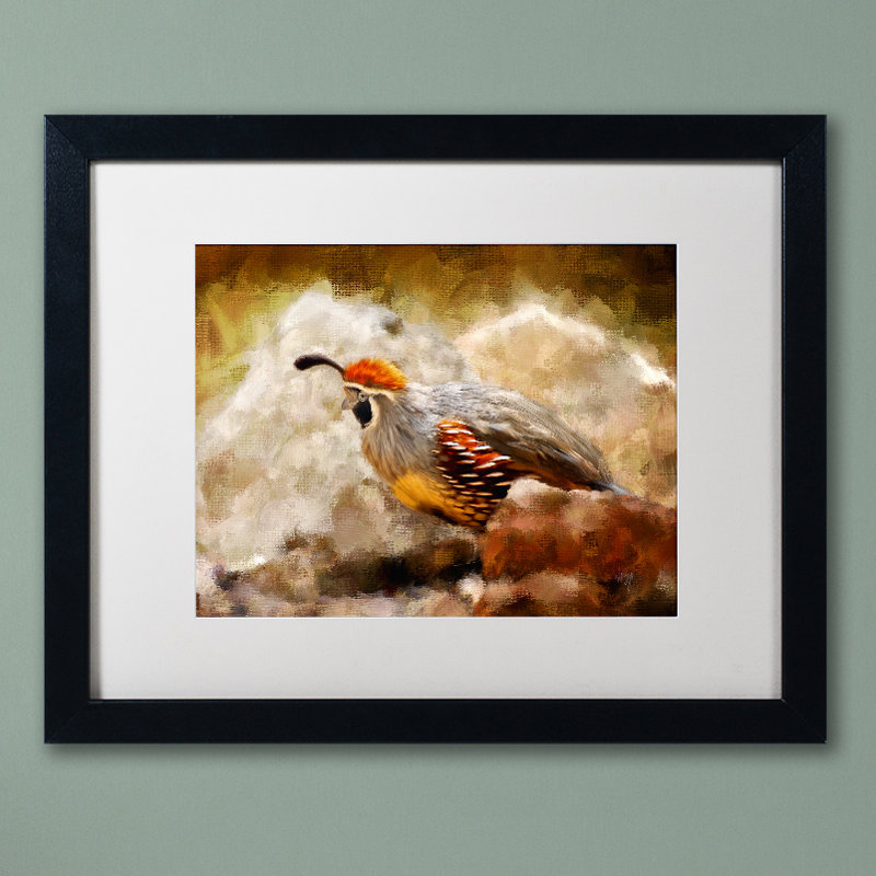 «Hurrying Quail» par Kuehn, reproduction d'art sur toile encadrée, H 16 po x l 20 po x P 0,5 po, Blanc