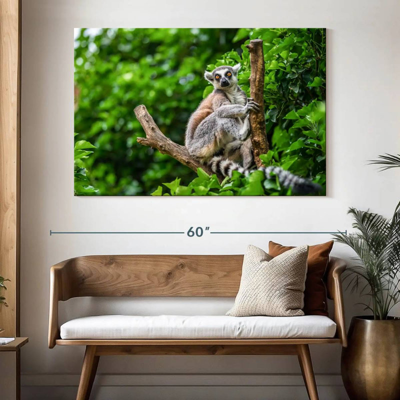 Brampt Stunned Lemur, 34" H x 51" W