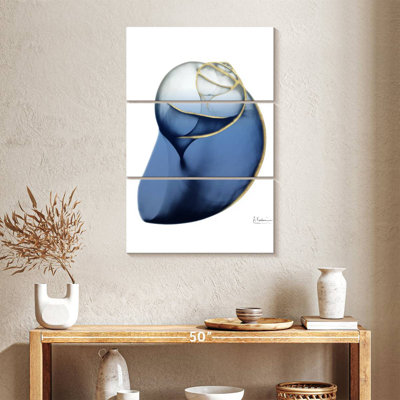 Marble indigo snail Aletra