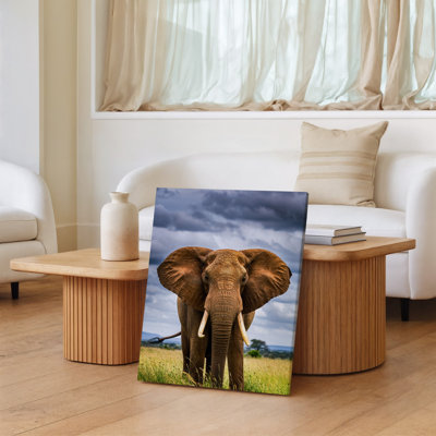 Toile, un majestueux éléphant d'Afrique se tient en évidence au premier plan, présentant ses grandes oreilles et ses défenses puissantes