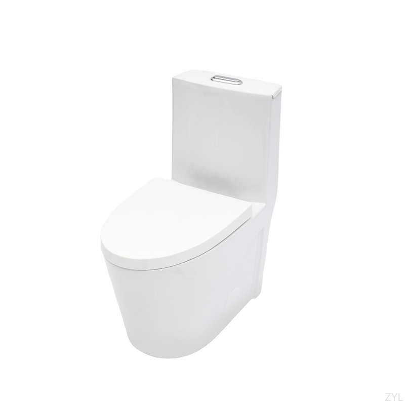 Ceramic One Piece Toilet For Bathroom, 12-Inch Rough-In, 1.1/1.6 GPF, Dual Flush With Soft Clsoing Seat, Powerful Dual Flush MAP 800G