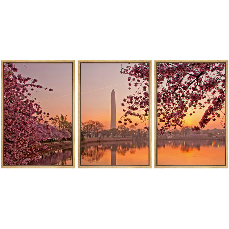 Architecture, fête des cerisiers en fleurs au National Mall Washington, DC, photo moderne, paysage, décoration murale