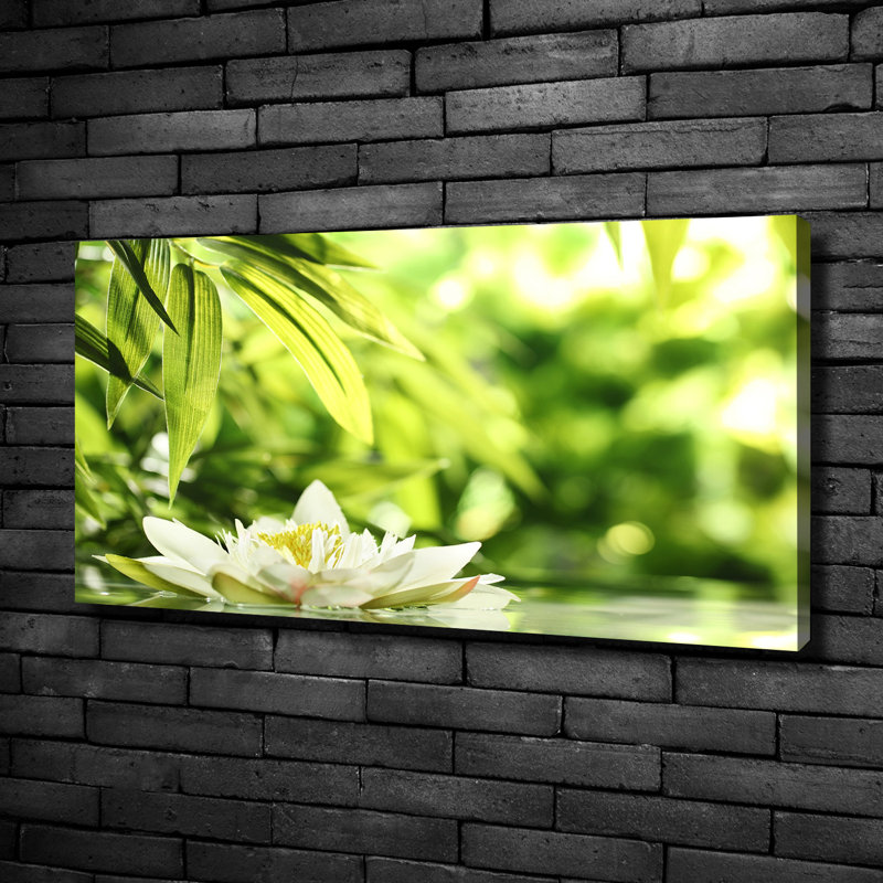 Water Lily - Wrapped Canvas Print, 50cm H x 100cm W , Canvas