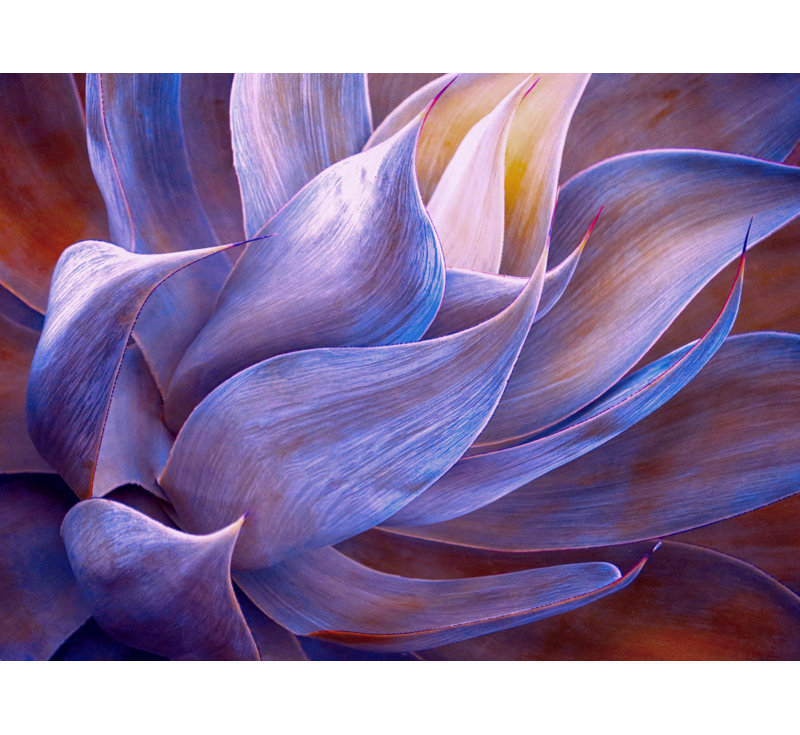 Wrapped Canvas Print, 50.8 cm H x 76.2 cm W