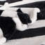 Couverture en flanelle super douce-114614144-114614145