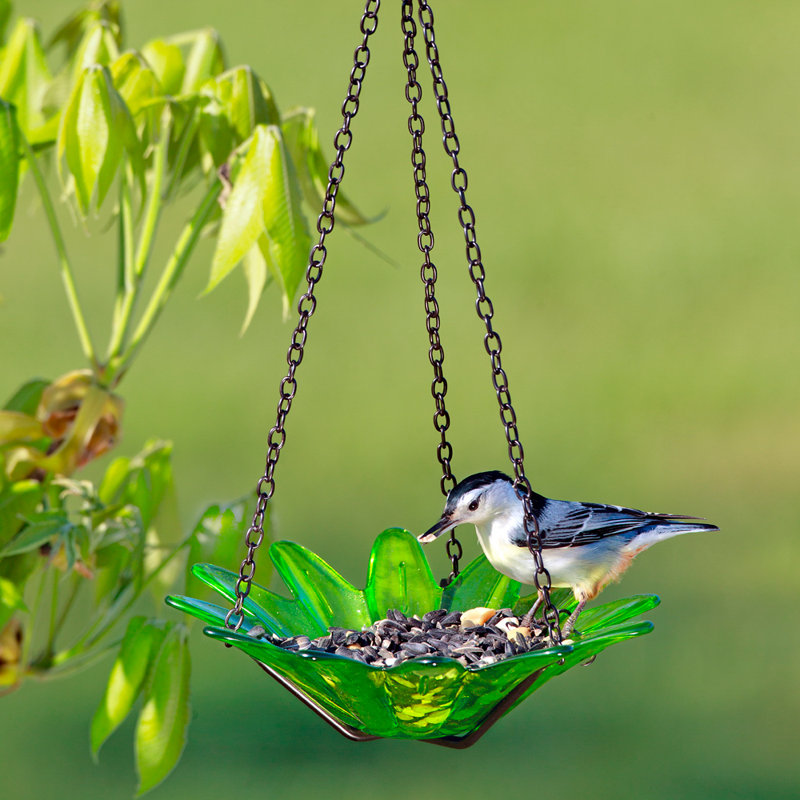 Mangeoire à oiseaux en verre recyclé Daisy - vert lime, Vert lime