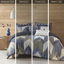 Couette bleu marine - King/King, coton imprimé 200 fils, , Couette en coton imprimé Ink+ivy Mini King, , Linge de lit