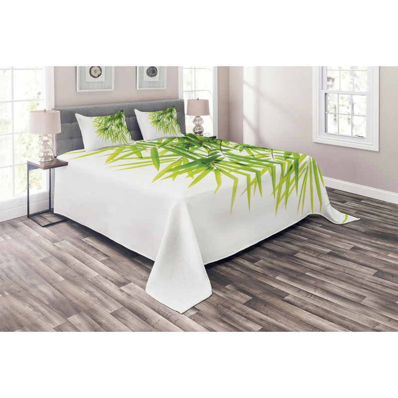 Coverlet