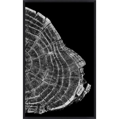 Silver Tree Ring Diptych B Print