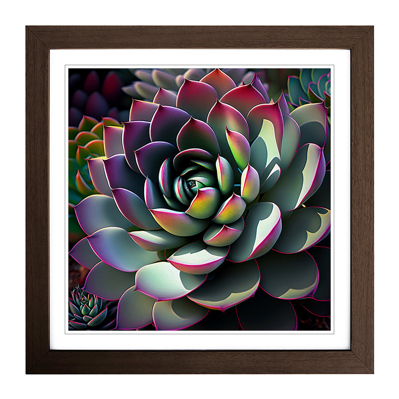 Succulent Digital Art - Single Picture Frame Print on Wood, Walnut