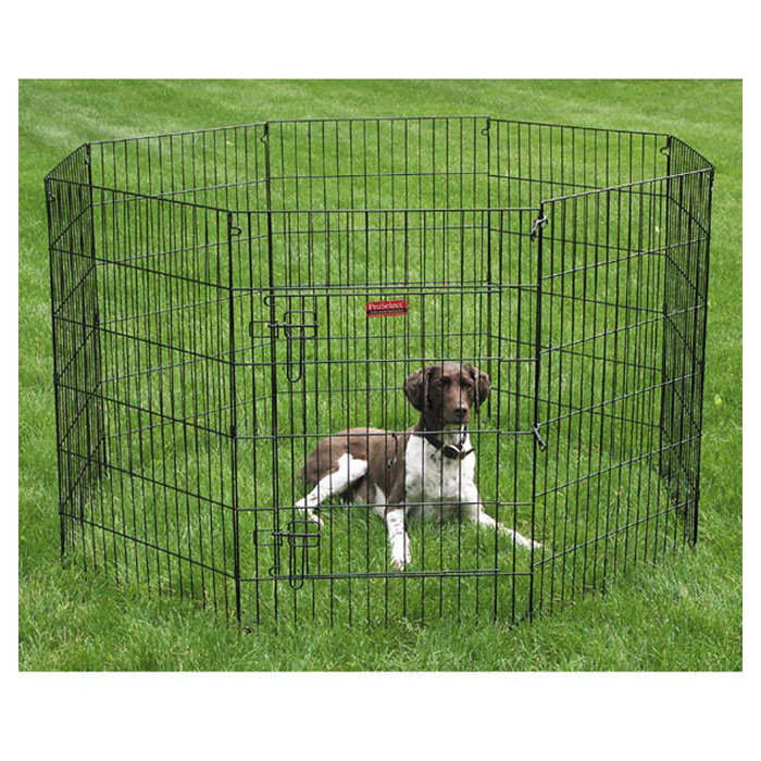 Black Metal 24'' Exercise Dog Pen with Door
