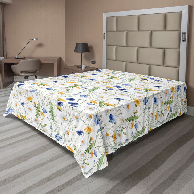 Drap Ambassonne, Double