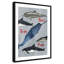 «Born to be free», impression sur papier-47841717-47841731