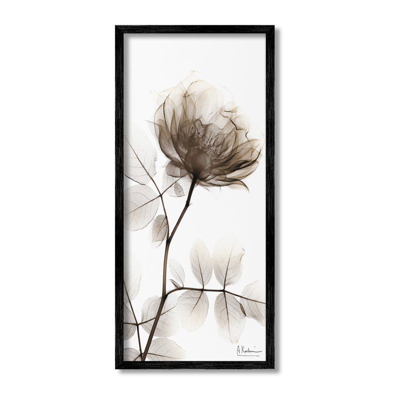 Contemporain, rayons X, estampe numérique, Art par Albert Koetsier, Giclée encadrée noir minuit, H 30 po x l 13 po