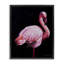 Cadre flottant élégant et exotique Flamingo, design par James Corwin-2052945372-2052945375