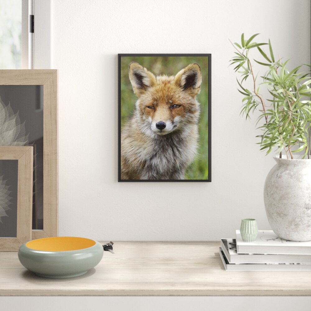 Gerahmtes Wandbild schöner Fuchs