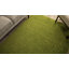 Alerte Solid Colour Shag Area Rug-957023879