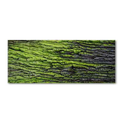 Tree Bark - Print