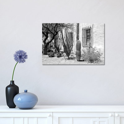 Beautiful Desert Plants by Philippe Hugonnard - Wrapped Canvas Print
