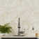 Athena Gold Regency 10" X 10" Polished Marble Mosaic Tile
