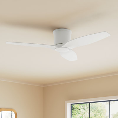 Ventilateur de plafond avec lumières DEL Aisling