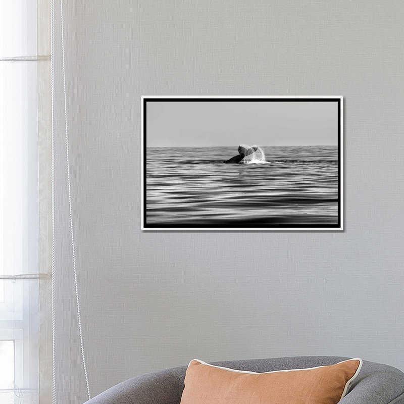 Baleine à queue en noir et blanc par Sean Davey - reproduction de photo, H 18 po x l 26 po x P 1,5 po, Toile blanche encadrée