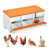 Orange sélectionné