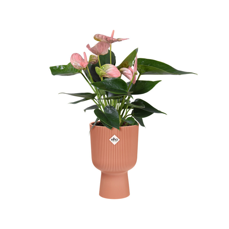 Pot Planter, Delicate Pink