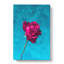 Fuscia Pink Dying Rose - Wrapped Canvas-56641438