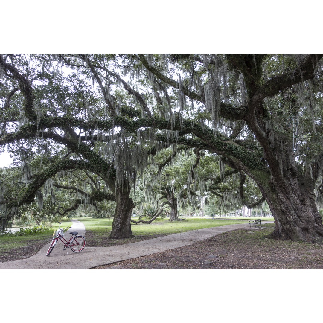 Stadtpark von New Orleans